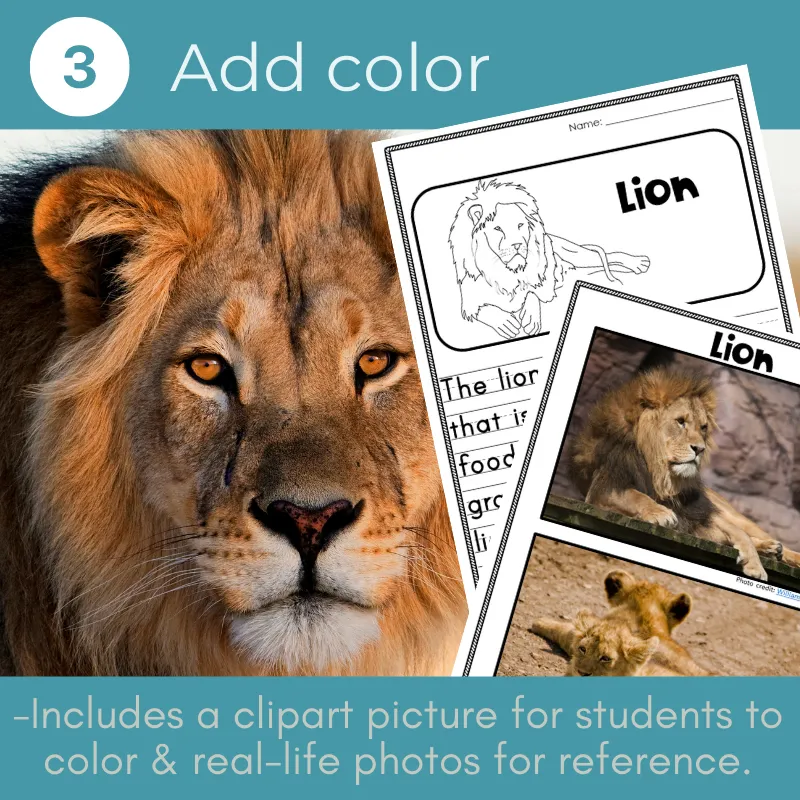 African Animal facts Read Write Color activity BUNDLE